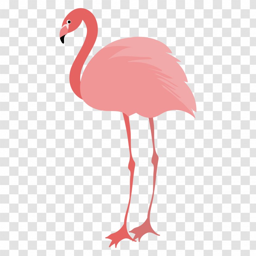 Flamingos Water Bird Animal - Domestic Pig Transparent PNG