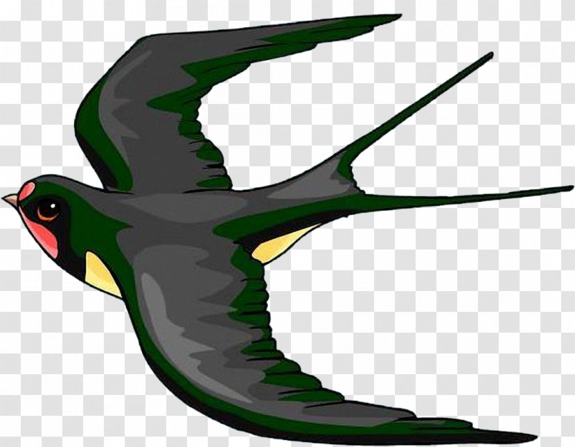 Barn Swallow Drawing Clip Art - Beak Transparent PNG