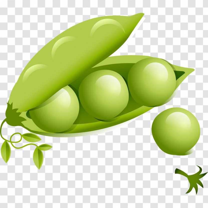 Common Bean Vegetable Lablab Food - Green - Peas Transparent PNG