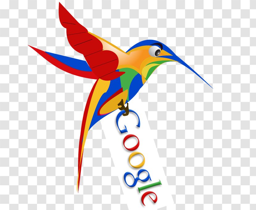 Google Hummingbird PageRank Search - Parrot Transparent PNG