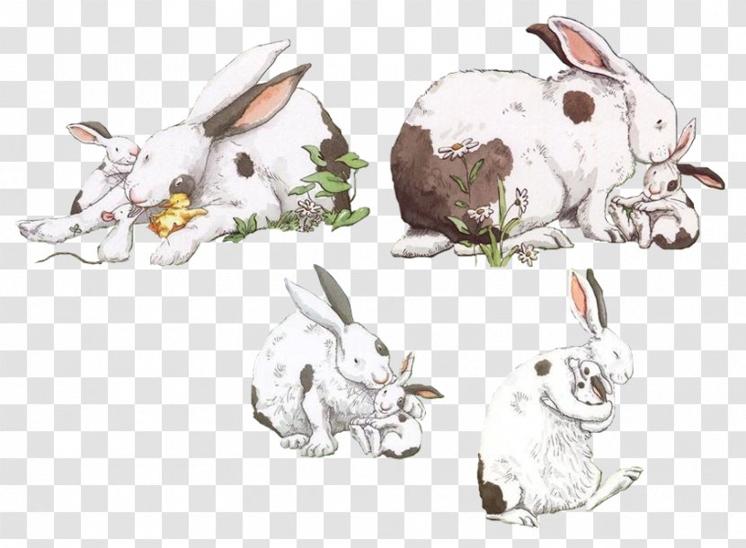 Domestic Rabbit Hare Drawing - Organism Transparent PNG