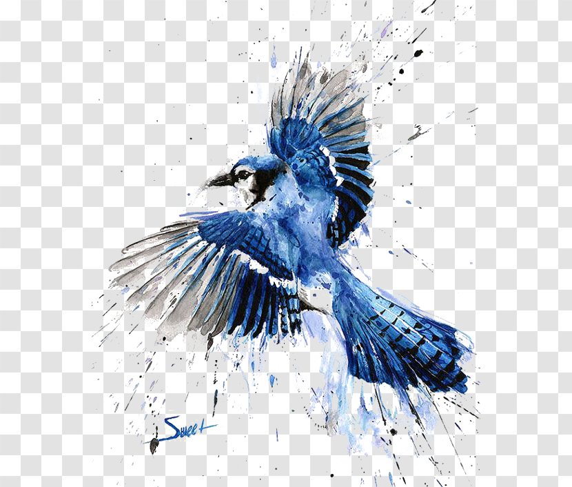 Bird Blue Jay Watercolor Painting Art - Sparrow Transparent PNG