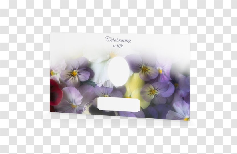 Pansy Flower Garden Common Daisy - Flowering Plant Transparent PNG