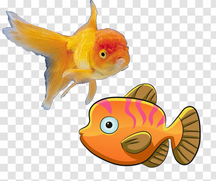 Deep Sea Fish Cartoon - Animal Figure - Creative Transparent PNG