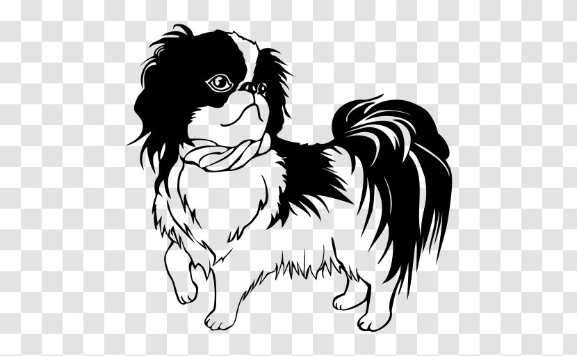 Shih Tzu Japanese Chin Bichon Frise Puppy Line Art - Drawing Transparent PNG