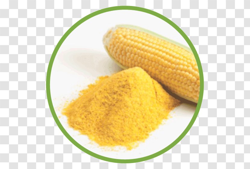 Corn On The Cob Starch Cornmeal Maize Flour Transparent PNG