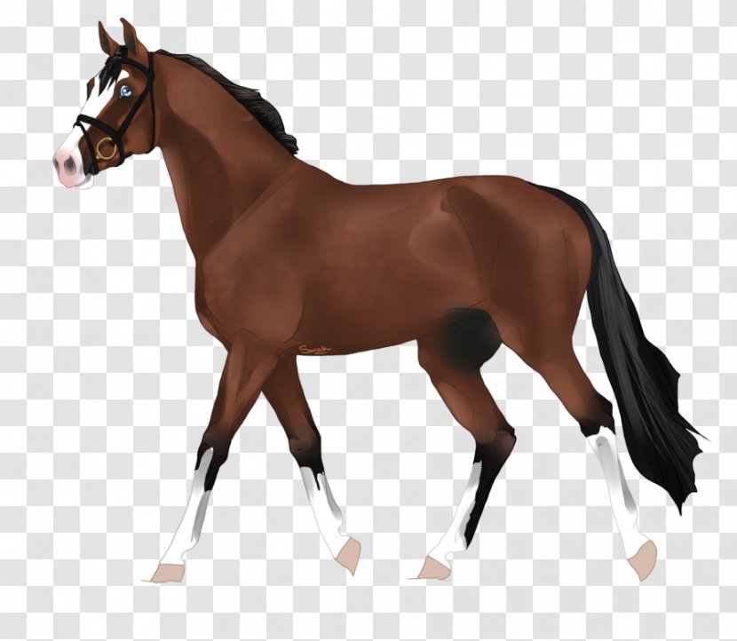 Amazon.com Mare Clydesdale Horse Andalusian Toy - Snout Transparent PNG