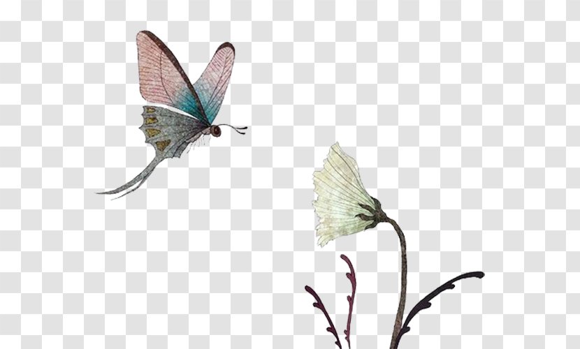 Butterfly Flight Euclidean Vector Computer File - Wing - Fly Transparent PNG