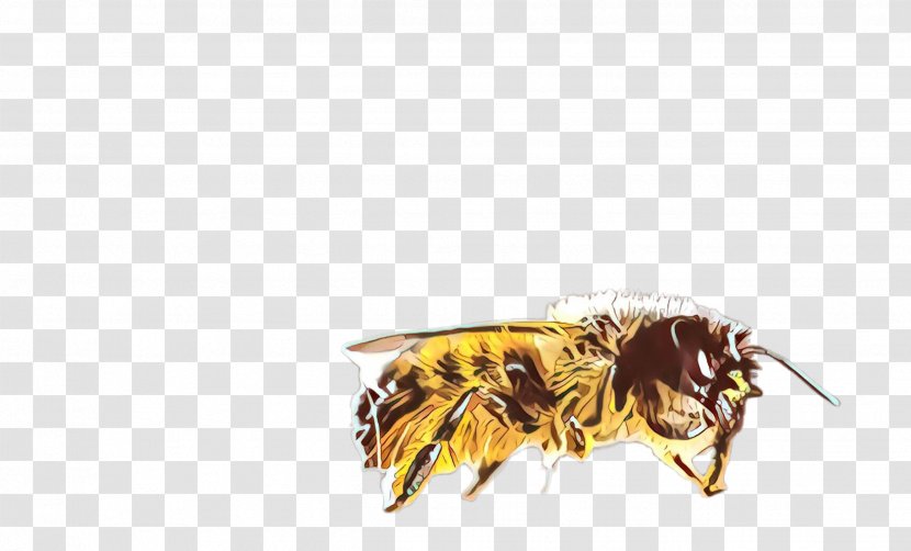 Feather - Fly - Bumblebee Transparent PNG