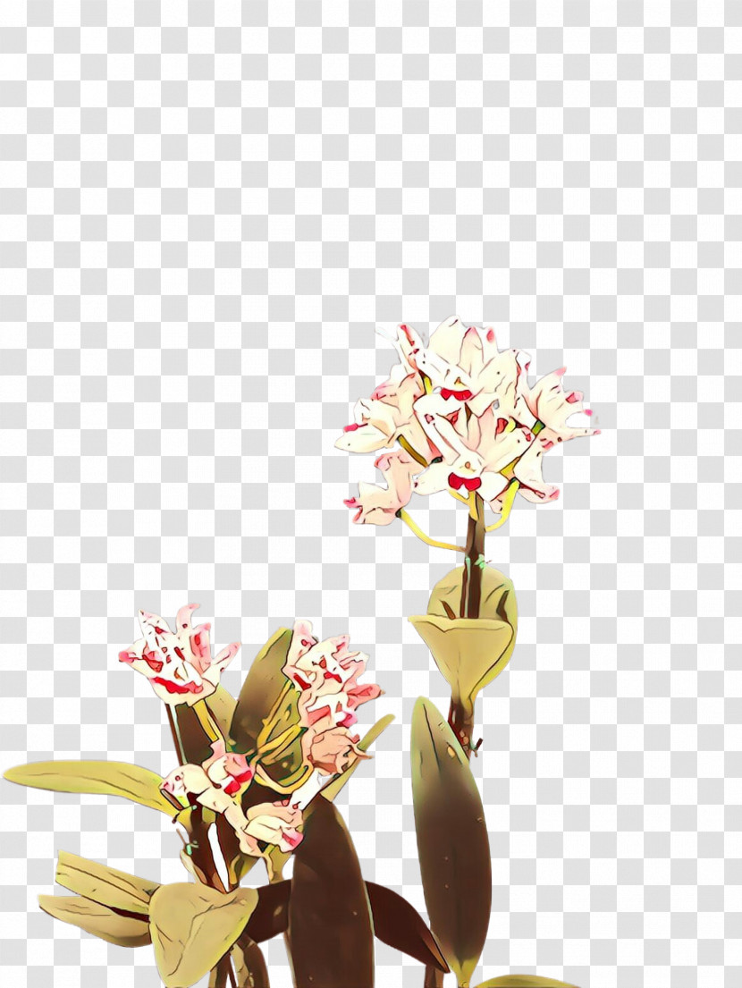 Flower Plant Spring Cut Flowers Still Life Photography Transparent PNG