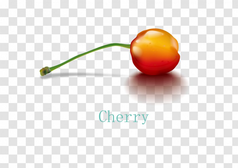 Cherry Auglis - Drawing - Physical Map Transparent PNG