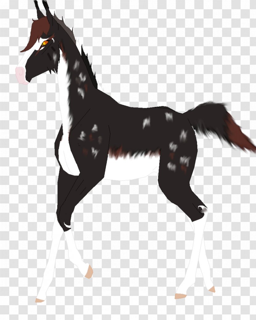 Mustang Foal Stallion Colt Mare - Bridle Transparent PNG