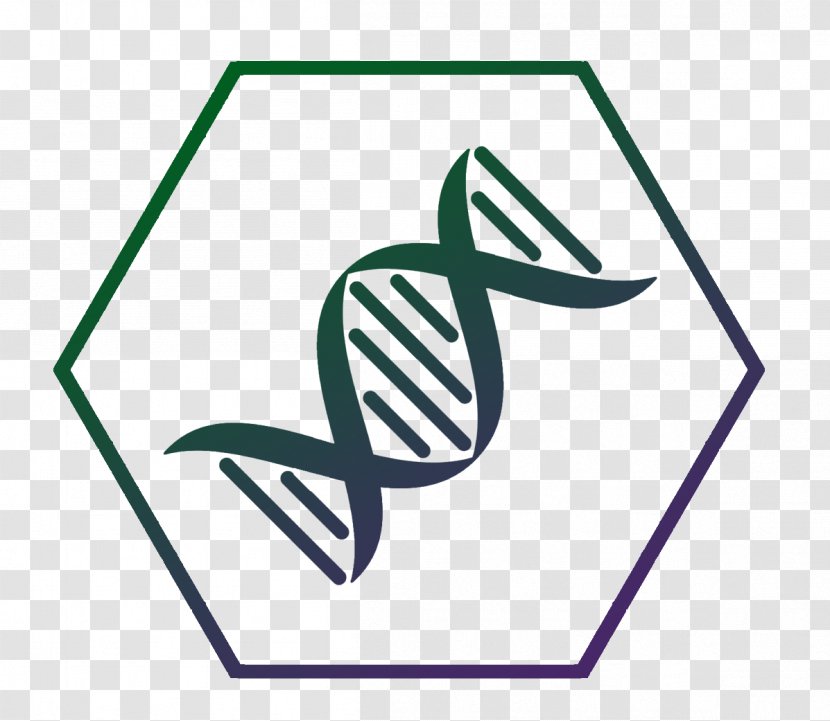 DNA Nucleic Acid Double Helix Gene Molecule Clip Art - Heredity Transparent PNG