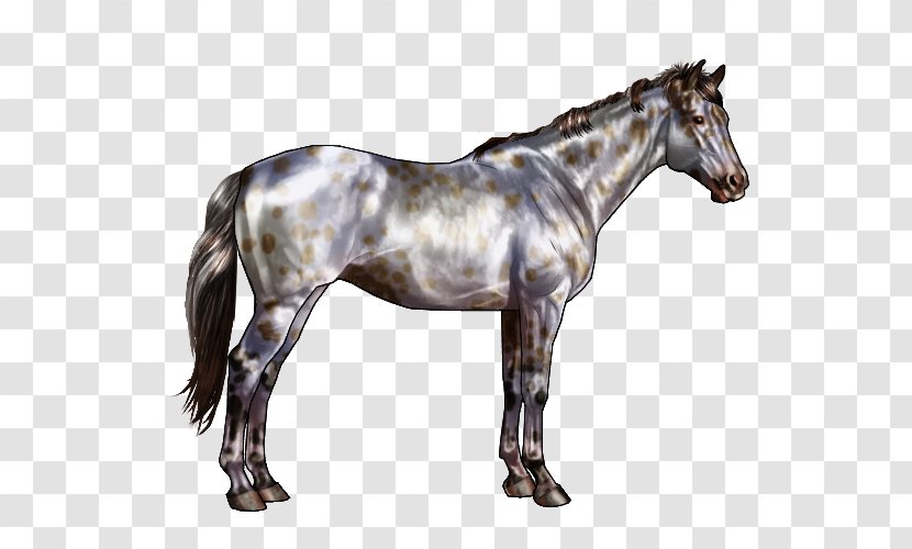 American Quarter Horse Roan Gray Black White - Markings - Pattern Transparent PNG
