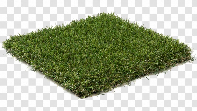 Artificial Turf Lawn Gardening Landscaping - Fitness Centre - Trulawn Transparent PNG