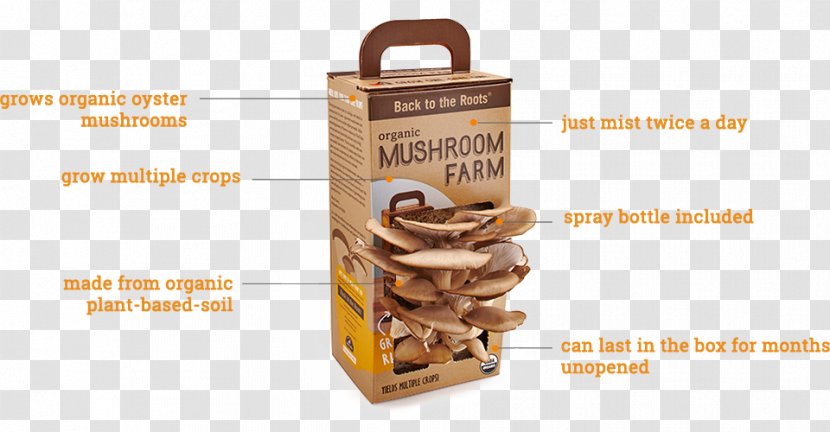 Oyster Mushroom Back To The Roots Edible Morchella - Kitchen Garden Transparent PNG