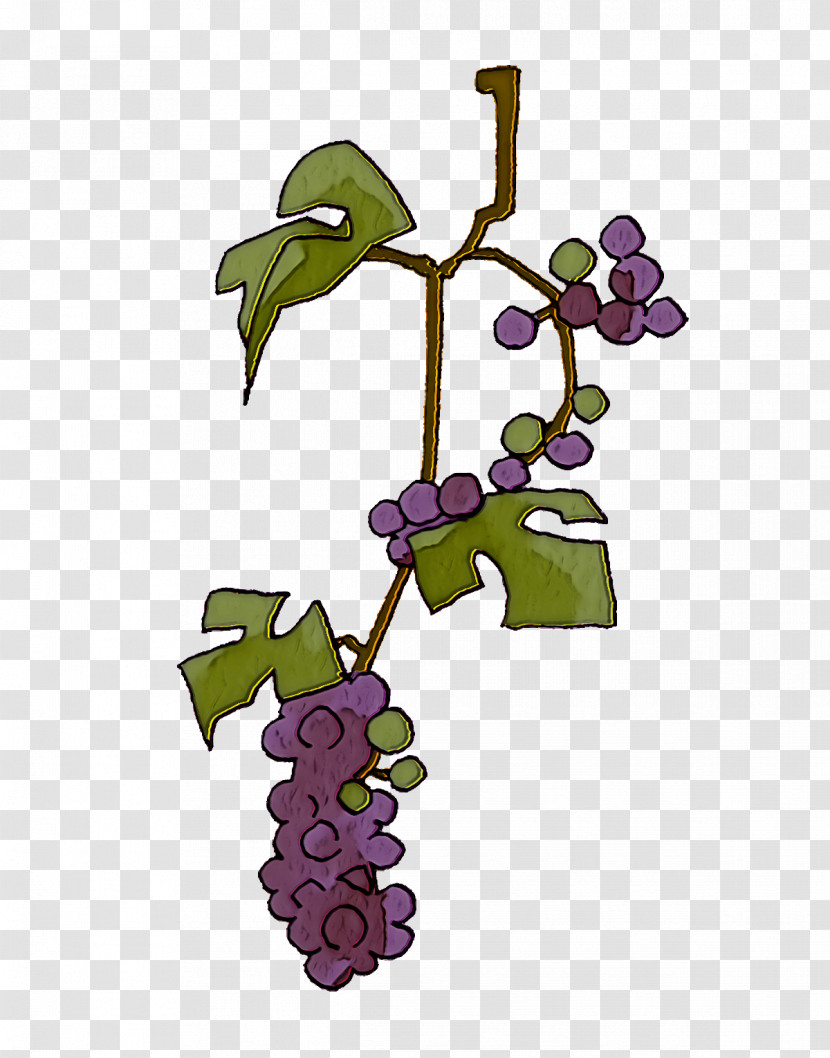 Grape Common Grape Vine Wine Grape Leaves Transparent PNG