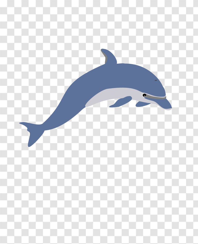 Dolphin Clip Art - Killer Whale - Cartoon Transparent PNG
