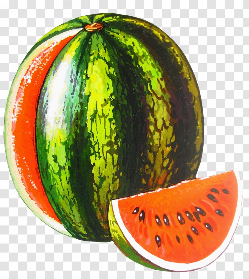 Letter Alphabet Word El - Fruit - Watermelon Image Transparent PNG