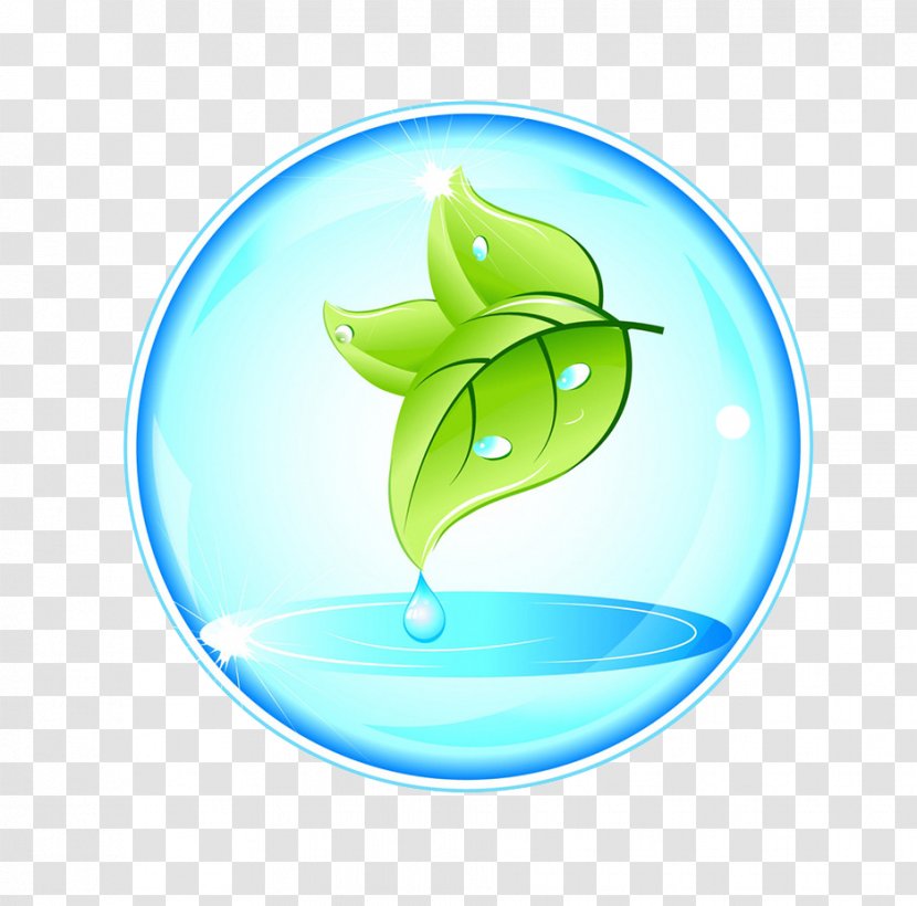 Nature Illustrator Symbol Logo - Leaves And Water Droplets Transparent PNG