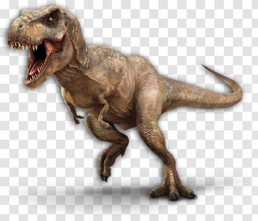 Tyrannosaurus Velociraptor Spinosaurus Therizinosaurus Jurassic Park - Dinosaur - Era Transparent PNG