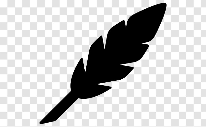 Clip Art - Beak - Feather Transparent PNG