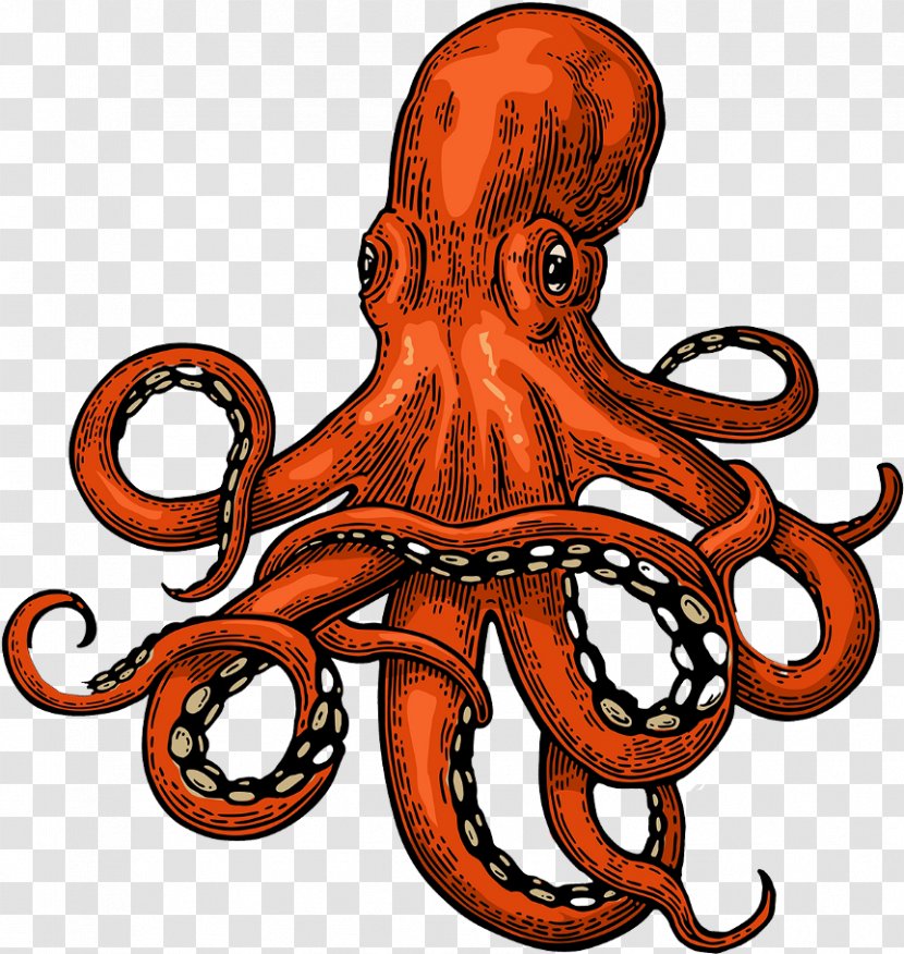 Octopus Cartoon - Tentacle - Giant Pacific Transparent PNG