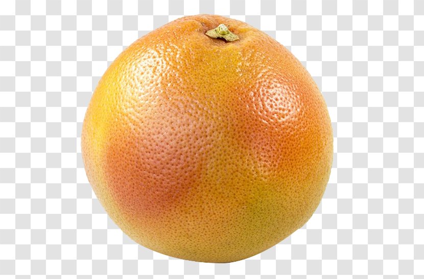 Clementine Grapefruit Tangerine Tangelo Rangpur - Valencia Orange - Close To Transparent PNG