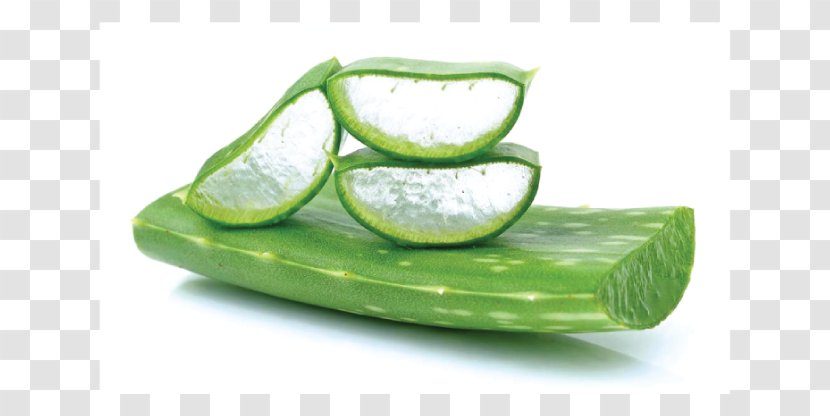 Aloe Vera Herb Health Gel Aloin - Cucumber - Juice Transparent PNG