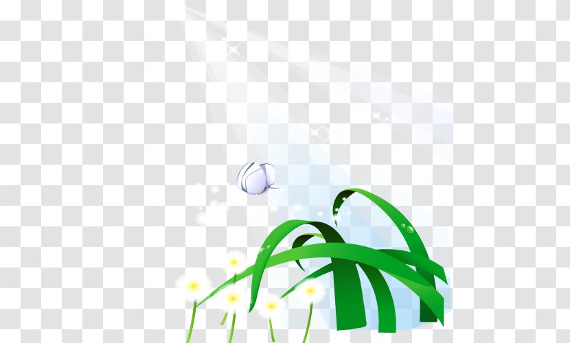 Drawing - Painting - Vector Grass Dandelion Transparent PNG