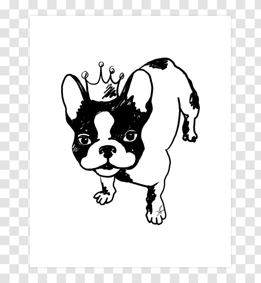 French Bulldog Boston Terrier American Bully Cavalier King Charles Spaniel - Companion Dog - Puppy Transparent PNG