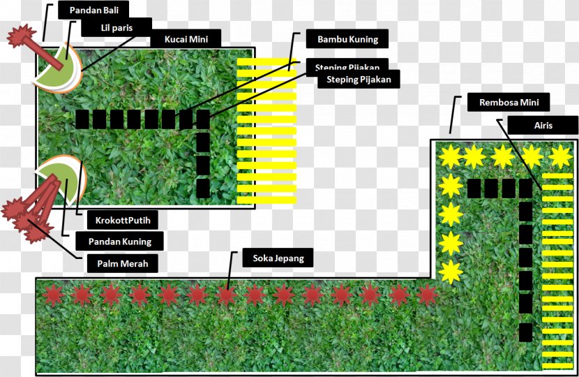 Lawn Garden Sketch - Green - Design Transparent PNG