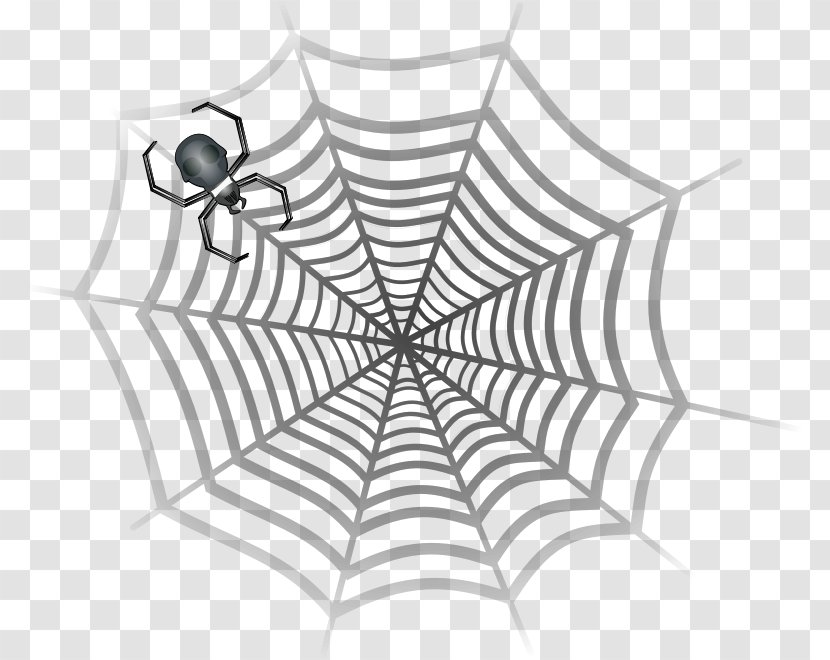Spider Drawing - Invertebrate Transparent PNG