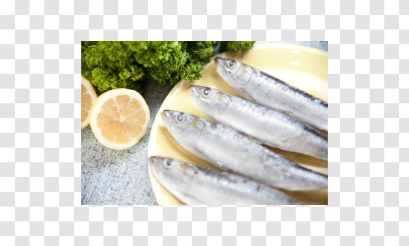 Pacific Saury Anticoagulant Omega-3 Fatty Acids Food Blood - Thrombus Transparent PNG