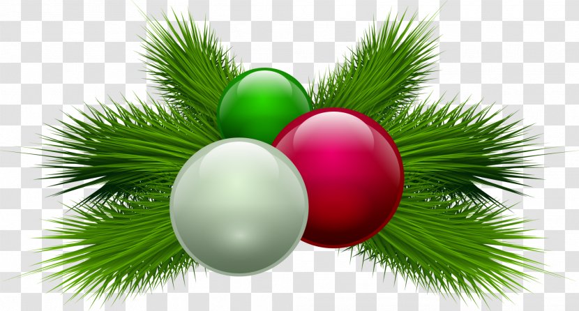 Christmas Candle Clip Art - Fruit - The Green Ball Plant Transparent PNG