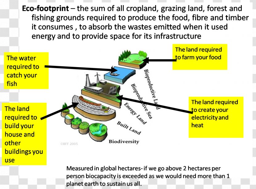 Ecological Footprint Biocapacity Ecology Economics Carrying Capacity - Biology Transparent PNG