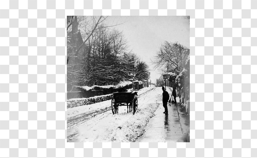 Hampstead Kenwood House Spaniards Road Blizzard - Black And White - Lane Transparent PNG