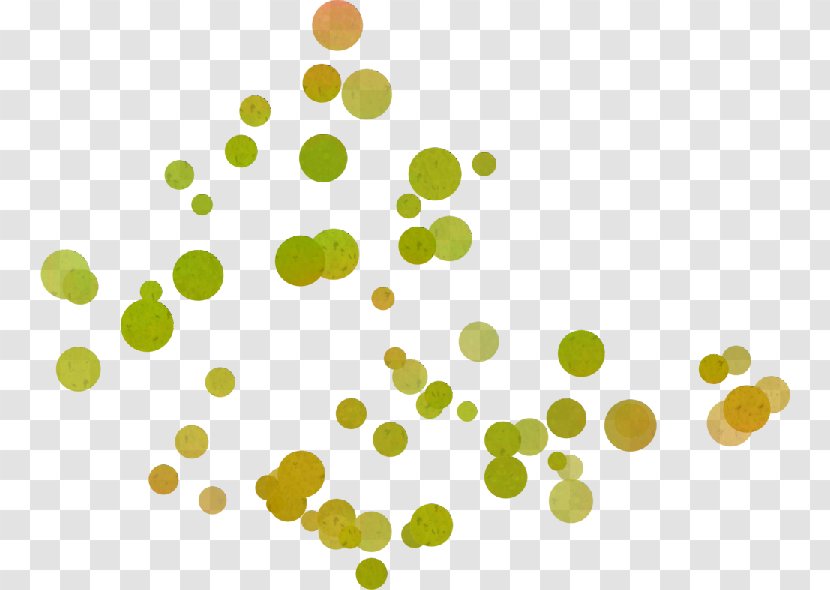 Green Red - Raster Graphics - Circles Transparent PNG