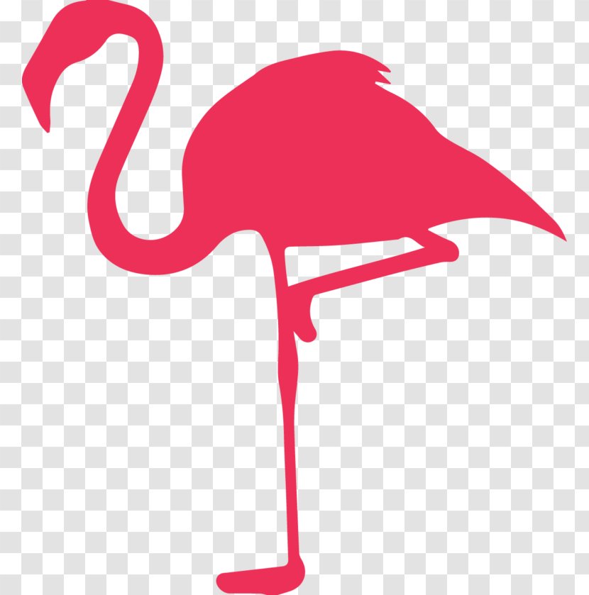 Flamingo - Greater - Bird Transparent PNG