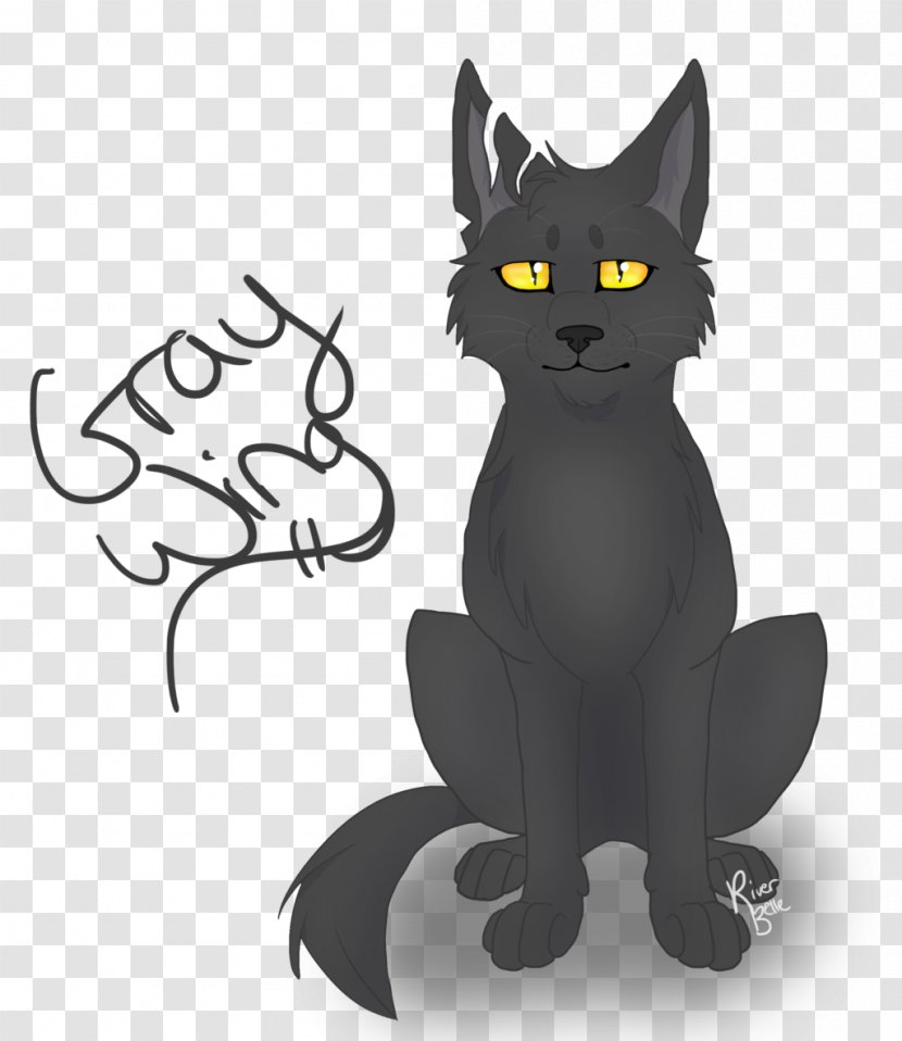 Black Cat Korat Kitten Domestic Short-haired Tabby Transparent PNG