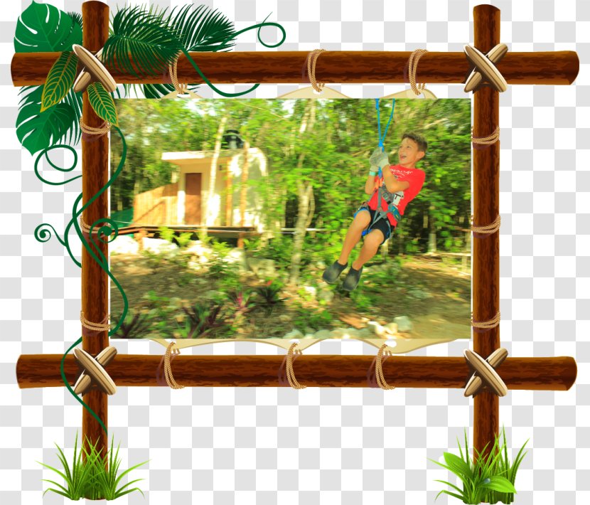School Xotik-Ha Tree Education Student - Outdoor Structure - Seilgarten Transparent PNG