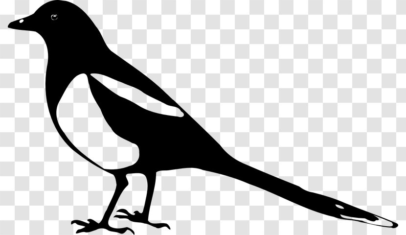 Family Silhouette - Magpie - Blackandwhite Perching Bird Transparent PNG