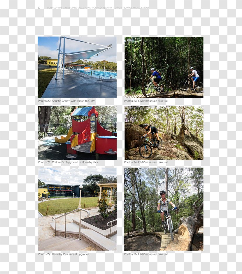 Hornsby Shire Council Management Recreation Park Leisure - Plan - Indigenous Australians Transparent PNG