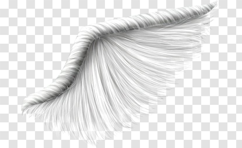 Drawing /m/02csf Brush Product Design Eyelash - Black And White - 17 March Transparent PNG