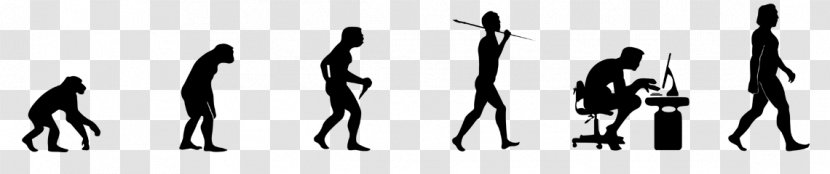 Human Evolution Homo Sapiens T-shirt Natural Selection - Humour - Decal Transparent PNG