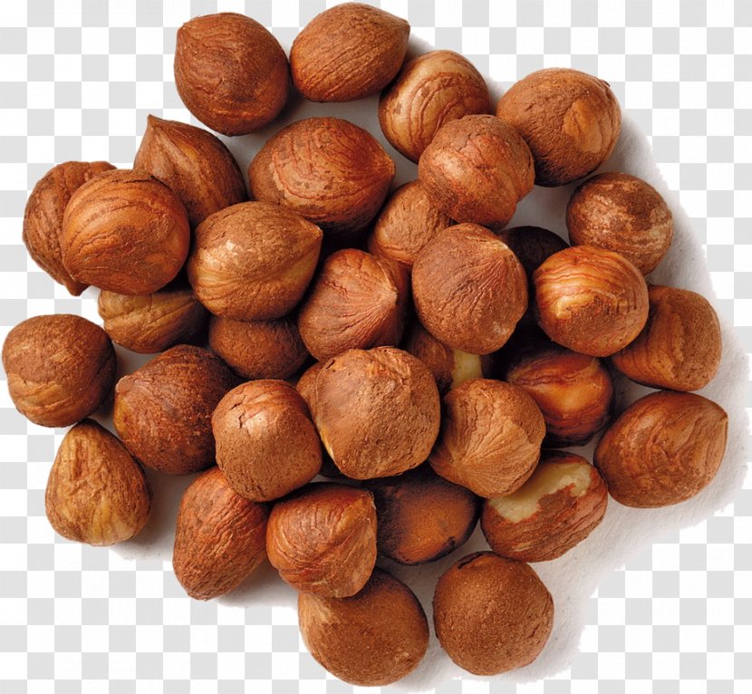 Common Hazel Filbert Hazelnut Dried Fruit - Nuts Transparent PNG