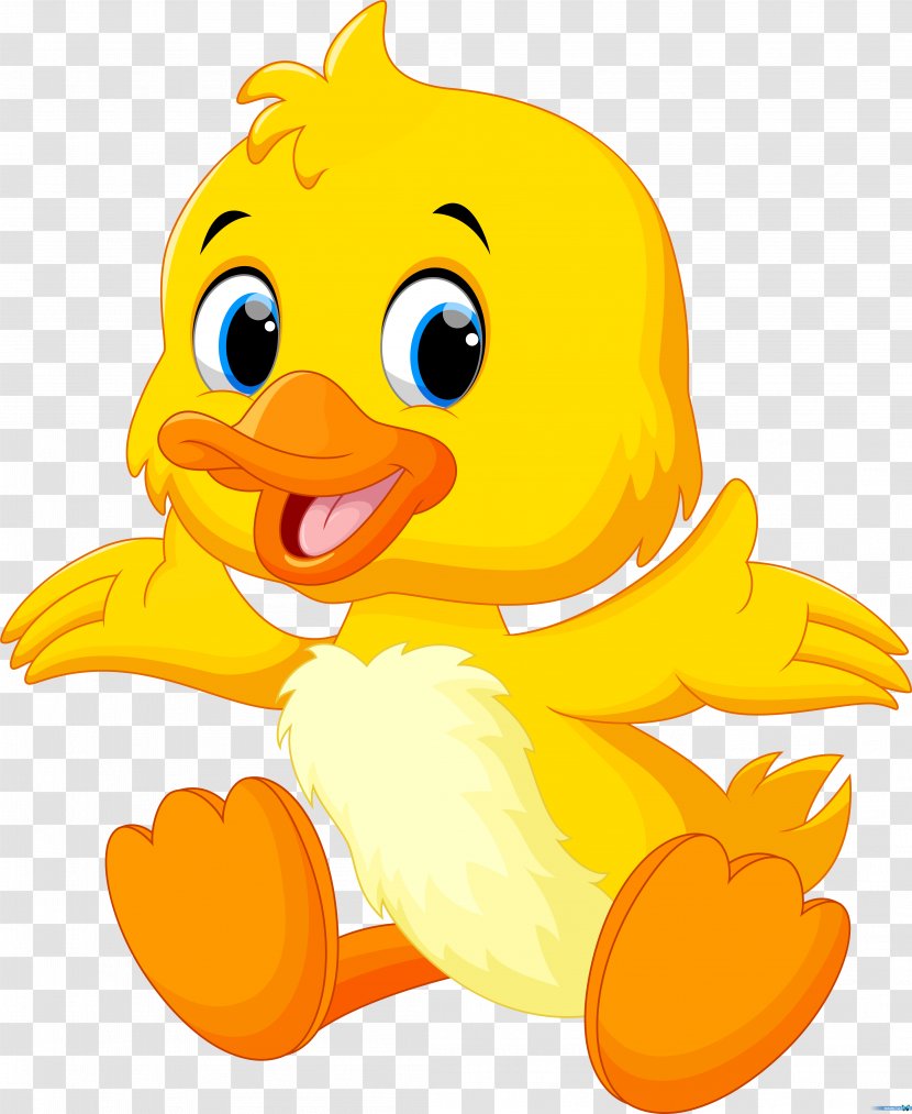 Baby Ducks Clip Art - Geese And Swans - Duck Transparent PNG