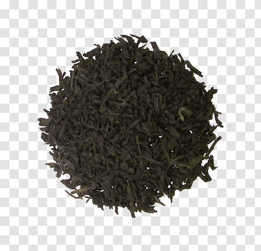 Nilgiri Tea Lapsang Souchong Plant Fennel Flower - Da Hong Pao - Oolong Transparent PNG