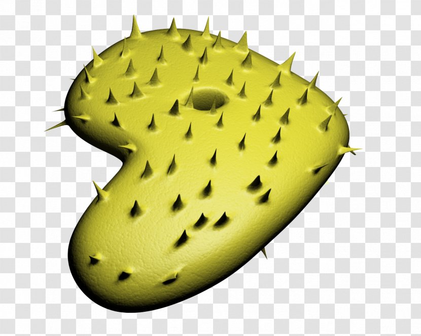 Gentoo Linux Insect Distribution Nopal Transparent PNG