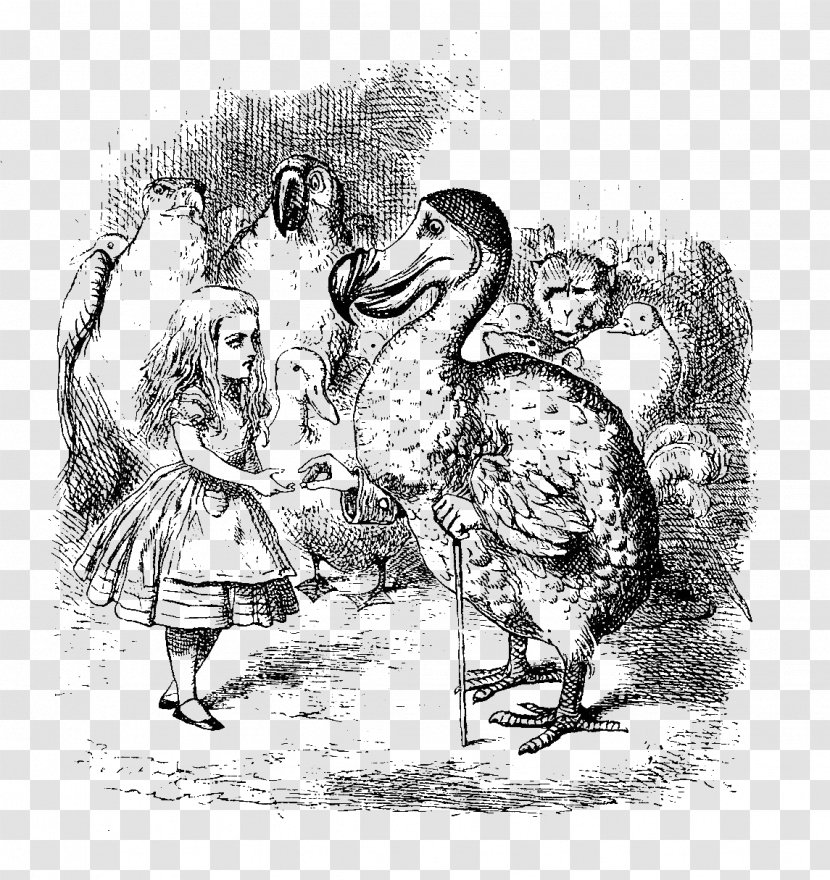 Alice's Adventures In Wonderland Dodo White Rabbit Tweedledum - Stock Photography - Aliciae Per Speculum Transitus Transparent PNG